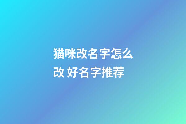 猫咪改名字怎么改 好名字推荐